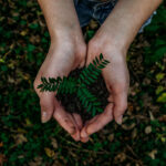 Sustainable Marketing: 5 Ways to Express Eco-Friendly Business Practices in Marketing