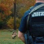 Two cops walking towards tree with dog